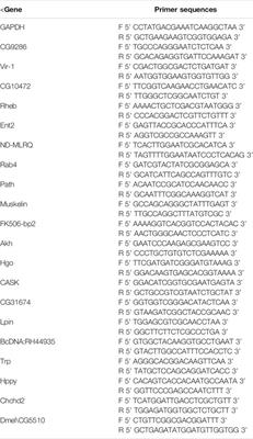 Proteomic Analysis of Red Ginseng on Prolonging the Life Span of Male Drosophila melanogaster